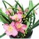 thumbnail image 2 of Planta artificial Flor artificial Planta verde artificial en maceta Flor artificial Clivia Chlorophytum Planta en maceta Adorno decorativo Flor artificial (rosa) ER, 2 of 5