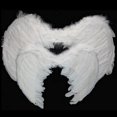 thumbnail image 5 of PGXT Halloween Party Costumes Feather Angel Wing, 5 of 5