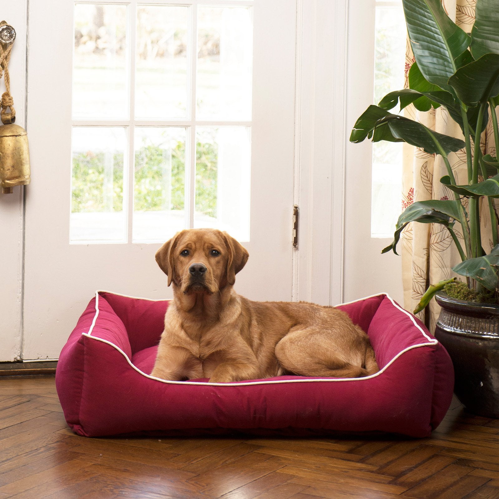 Dog Gone Smart Repelz It Lounger Bed Walmart Com