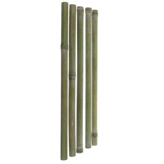 5Pcs Bamboo Poles for Plants Bamboo Bonsai Trellis DIY Bamboo Tubes Decorations Bamboo Stakes