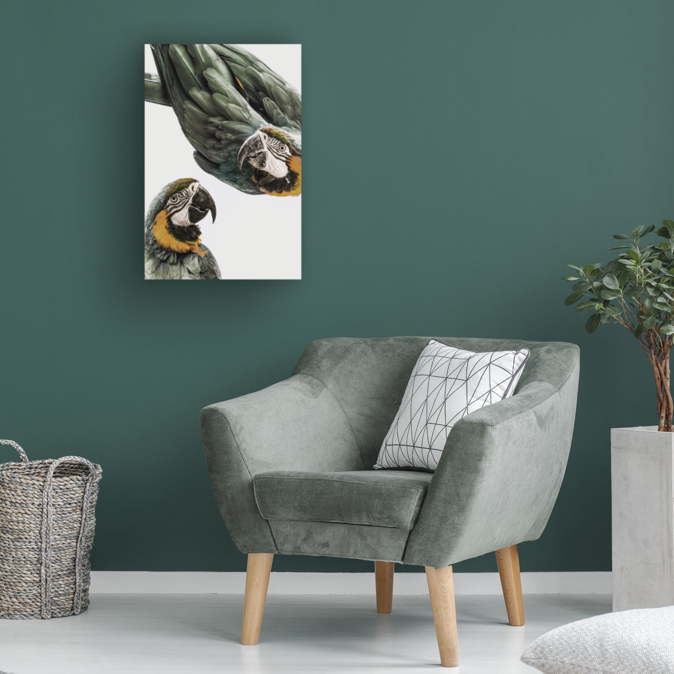Trademark Fine Art Shot by Clint Amazonia Canvas Wall Art