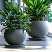 Taotanxi Round 3-in-1 Planter Caddy, Saucer,& Stand for Heavy Pots,Easy Pot Mobility Plant Caddy,Hidden Drain Reservoir to Protect Indoor Floor (Grey, 10 Inches)