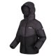 thumbnail image 4 of Regatta - Chaqueta Aislante Lofthouse VI para Niños/Niñas (Ceniza, Gris Oscuro), 4 of 4