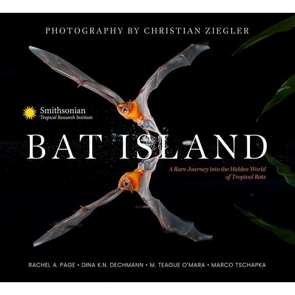 Bat Island: A Rare Journey Into the Hidden World of Tropical Bats, (Hardcover)