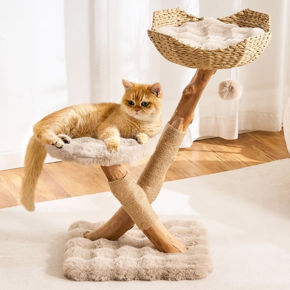 HITTITE Natural Solid Wood Cat Tree Tower with Scratching Post, 32 Inches Tall Modern Cat Tower with Rattan Bed and Platforms, Luxury Real Branch Cat Tree for Indoor Cats Large Adult, Khaki.