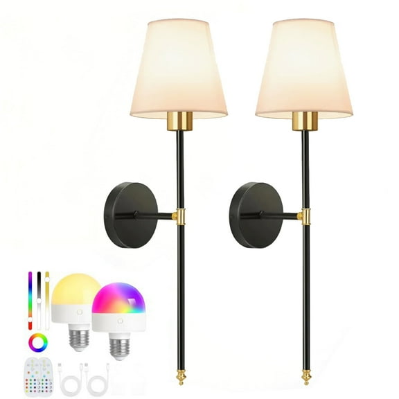 D.FAMILY Rechargeable Wall Sconce, Battery Dimmable RGB Wall Light with Remote for Living Room