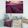 thumbnail image 3 of Designart 'Dramatic Clouds and Sunrise Over Lavender Field III' Farmhouse Framed Art Print, 3 of 4