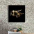 thumbnail image 3 of Epic Graffiti 'Fuzzy Buzzy' by Epic Portfolio Giclee Canvas Wall Art, 18"x18", 3 of 8