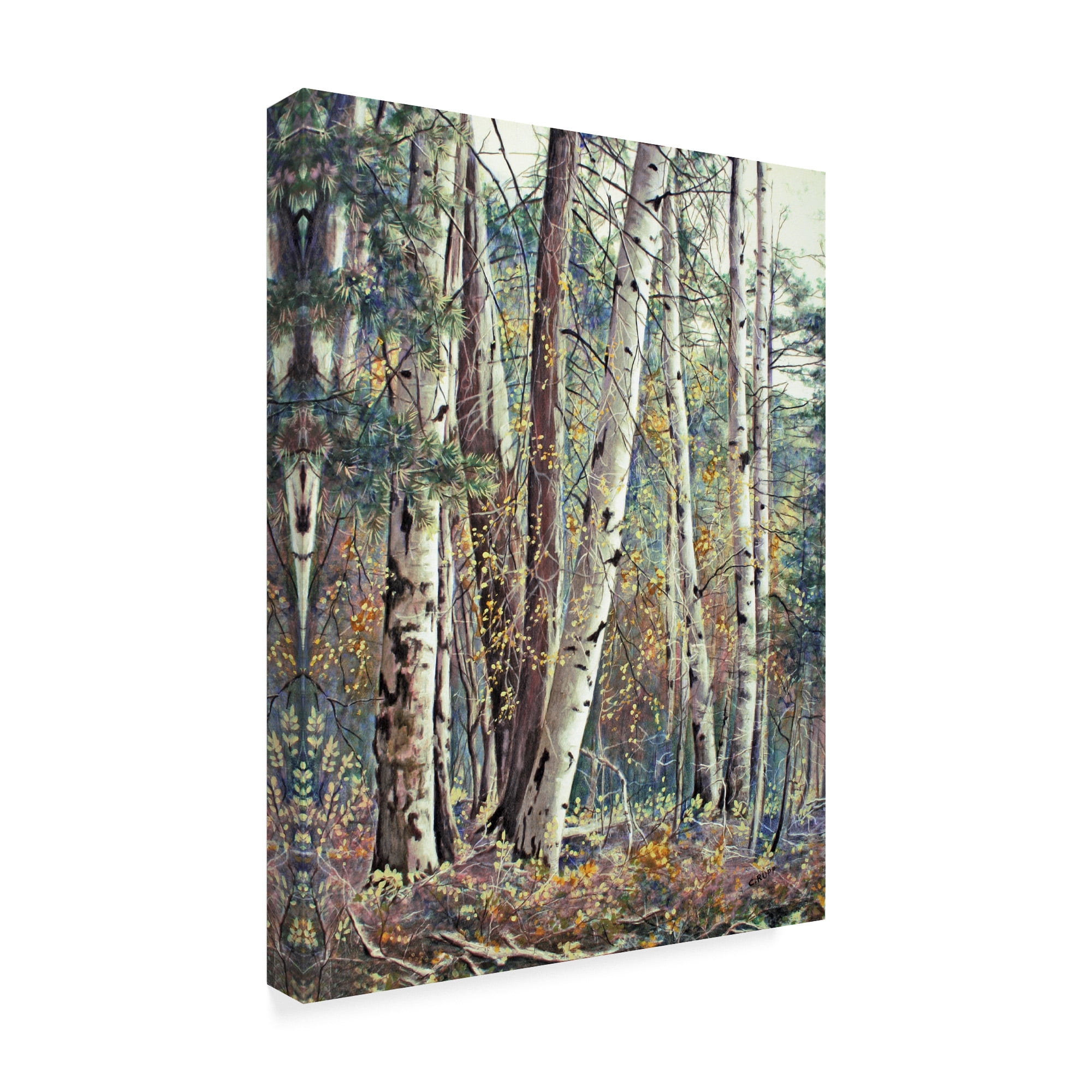 Trademark Fine Art 'Grace & Maturity' Canvas Art by Carol J Rupp