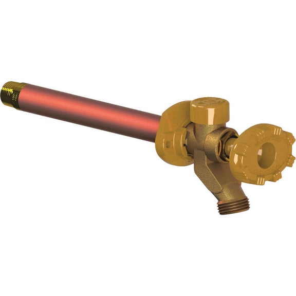 Woodford 19P-10 Residential Wall Faucet