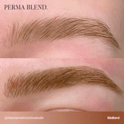 Perma Blend Permanent Makeup for Modifying Colors, Used for All Permanent Makeup Procedures - Mallard 1/2oz