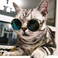 thumbnail image 3 of Divertidas gafas de sol circulares retro clásicas para mascotas y collar de cadena de color dorado para gatos y perros pequeños, 3 of 5