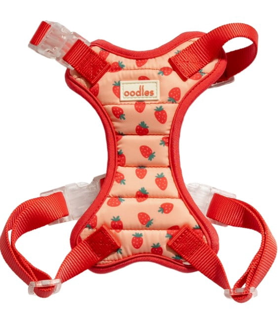 Strawberry Fruit Print