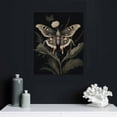 thumbnail image 4 of ONETECH Vintage Insect Moth Poster for Room Goblincore Butterfly Canvas Wall Art Botanical Floral Oil Print Painting Dark Academia Gothic Cottagecore Fairytale Wall Decor for Bedroom, 4 of 4
