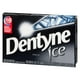 Dentyne Ice Intense, Gomme Sans Sucre, 1 Paquet (12 Morceaux Par Paquet) Xbox – image 5 sur 11