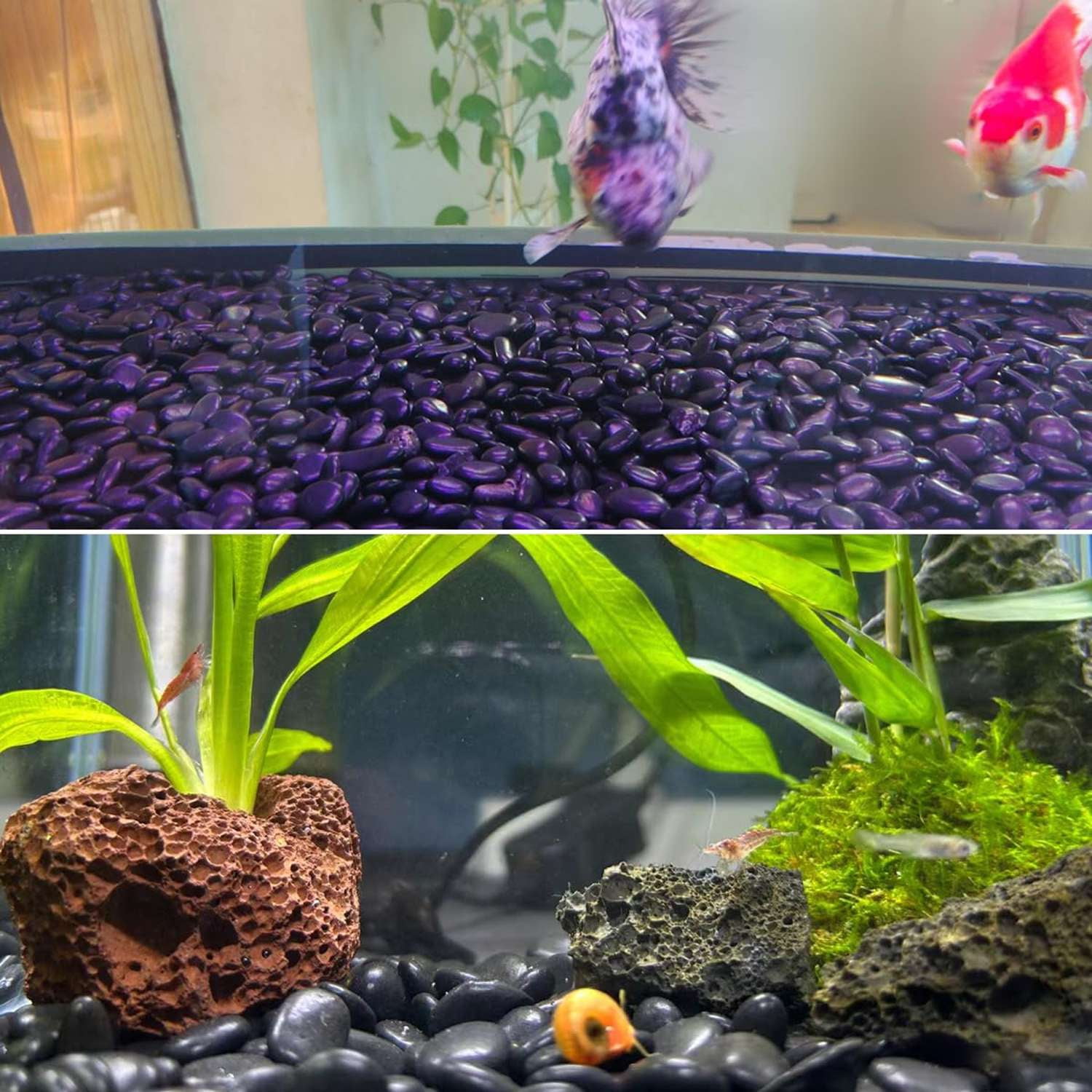38lbs Black River Rocks, 2-3 inch Polished Pebbles for Plants, Vase Filler, Aquarium, Landscaping, Indoor Outdoor Decor