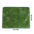 thumbnail image 2 of Simulation Lawn Mat Dog And Cat Play Scratching Mat, 2 of 16