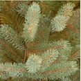 thumbnail image 2 of National Tree PENF1-500-75 Norway Spruce Hinged Tree, 7.5 ft., 2 of 3