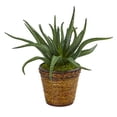thumbnail image 1 of Nearly Natural 8873 16 in. Aloe Artificial Plant in Basket, 1 of 2