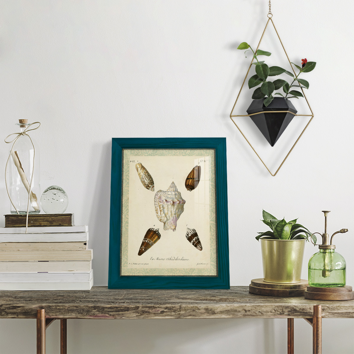 Bookplate Shells IV - Framed Print w/glass - Ocean Blue