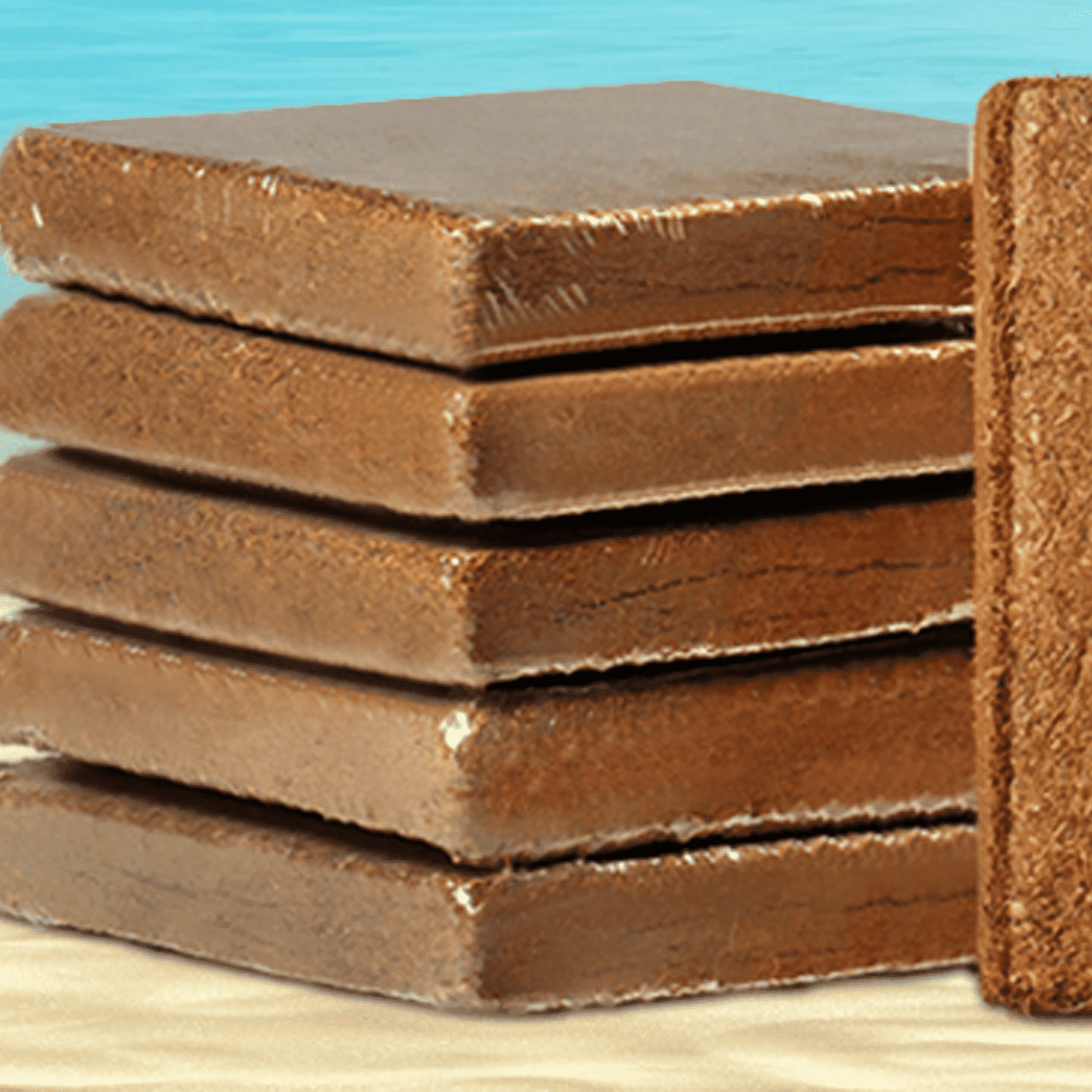 FACEGA Nutrient Bowl Lightweight and Storable Coconut Brick Design Sphagnum Moss for Plants Rich Nutrients for Seedlings and Green Plants Peat Moss