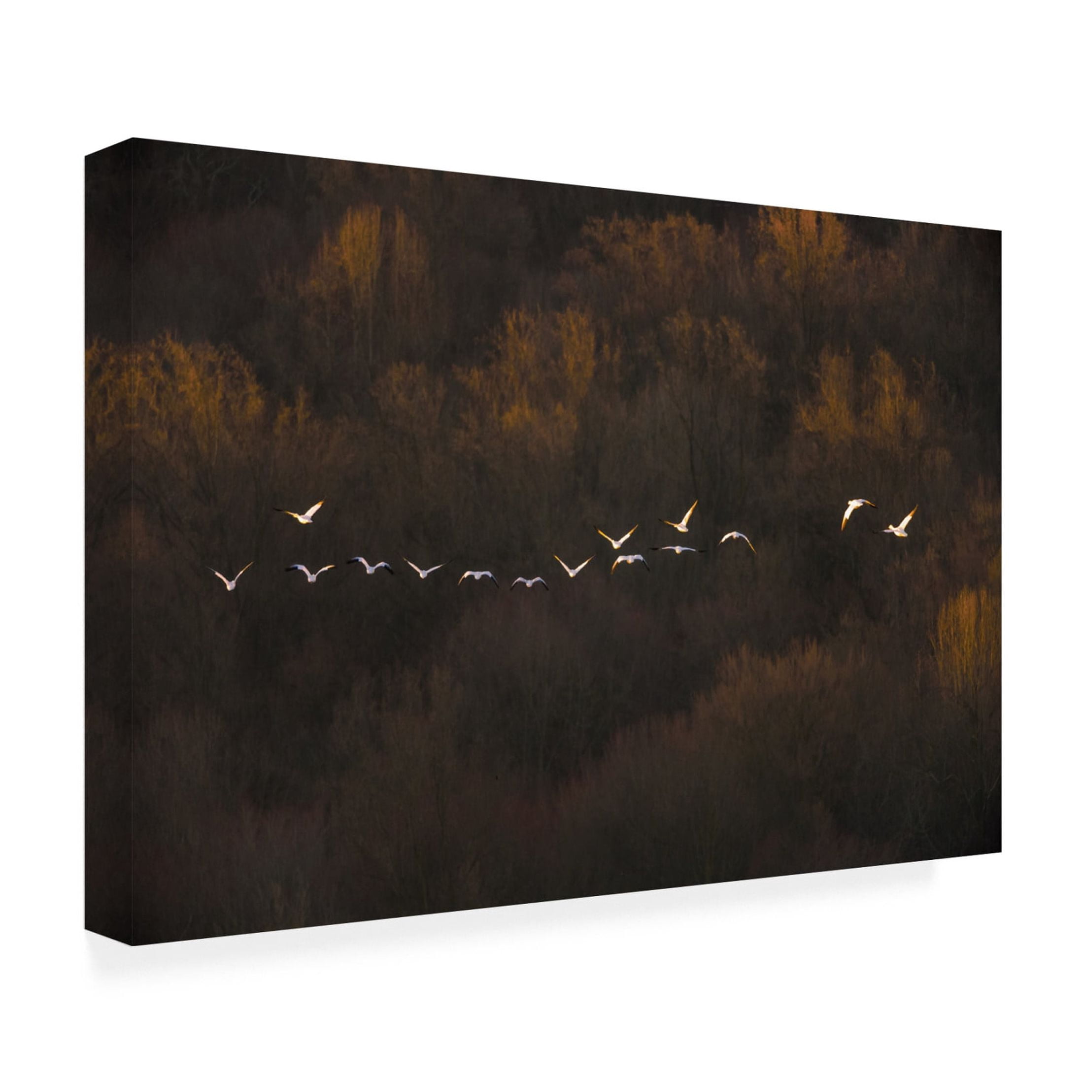 Canvas Wall Art - ??? / Austin 'Morning Mood' Wall Art for Living Room, Bedroom, or Office Décor by Trademark Fine Art - 24 x 16 Inches