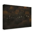 thumbnail image 4 of Canvas Wall Art - ??? / Austin 'Morning Mood' Wall Art for Living Room, Bedroom, or Office Décor by Trademark Fine Art - 24 x 16 Inches, 4 of 4