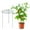 Green, variant on Peony Cages and Supports 3Pcs Peony Support Cage 17.72x13.8inGrow Through Plant Supports with 3 Legs Metal Plants Support Frame for Rose, Tomato, Orchids