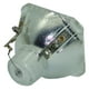 Remplacement de la Lampe de Projecteur Original Philips pour Runco DR-300C (Ampoule Seulement) – image 5 sur 5