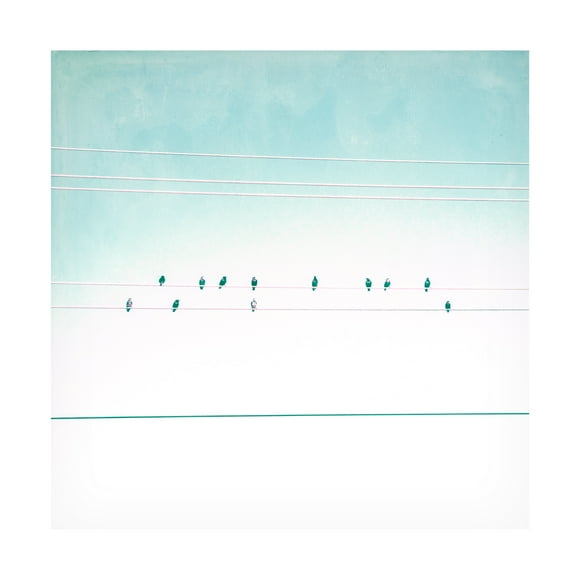 Thomas Brown 'Birds on Wires IV' Canvas Art