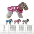 Four Seasons Pet Raincoat Large And Small Dogs Raincoat Transparent