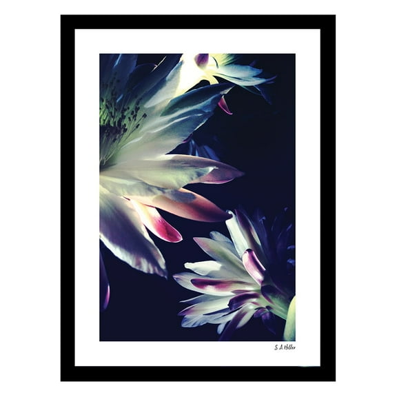 BLOSSOMS TOUCH Framed Printed Photograph