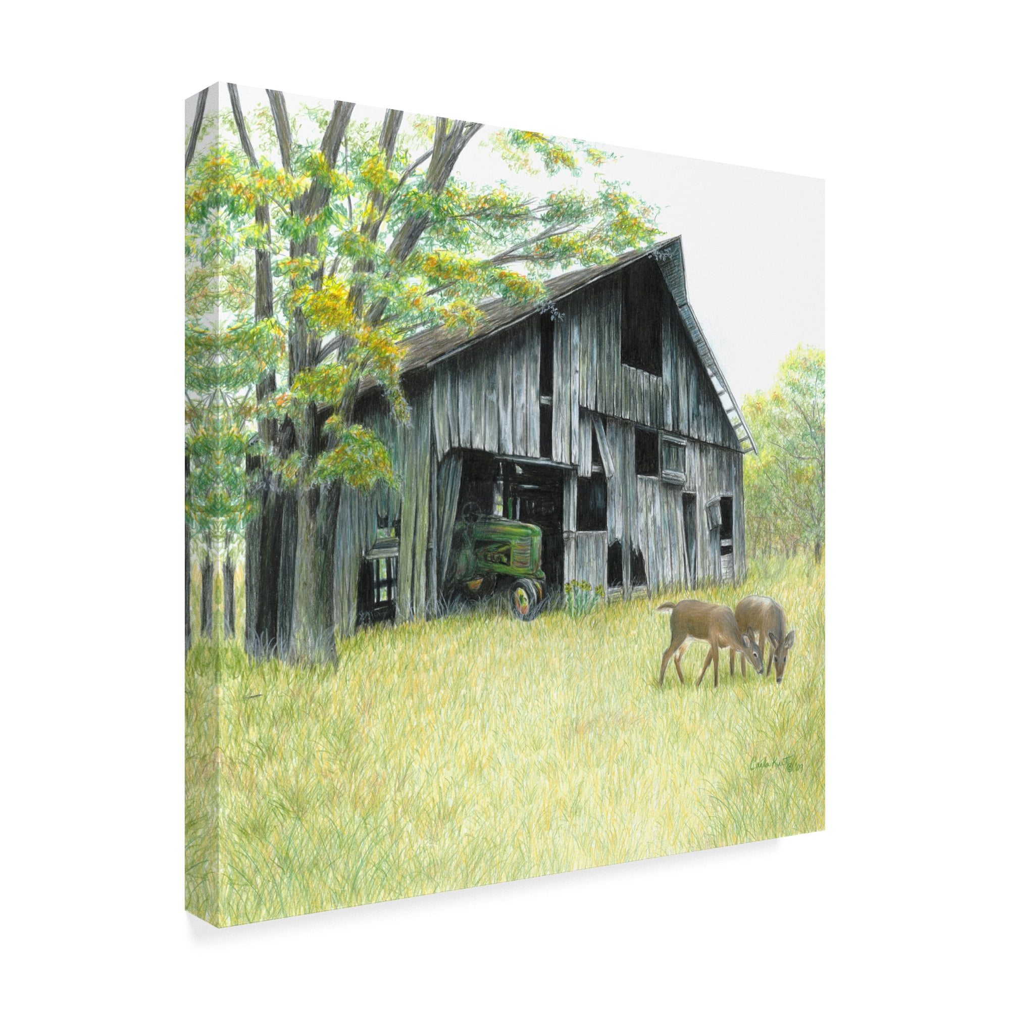 Trademark Fine Art 'Forgotten Barns' Canvas Art by Carla Kurt