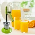 thumbnail image 4 of Yammee Tall Efficiency Point Filter Lemon Press Manual Juicing Device Heavy Measure Rustproof Metal Frame Smooth Puree Complimentary Conclusions Every Use, 4 of 9