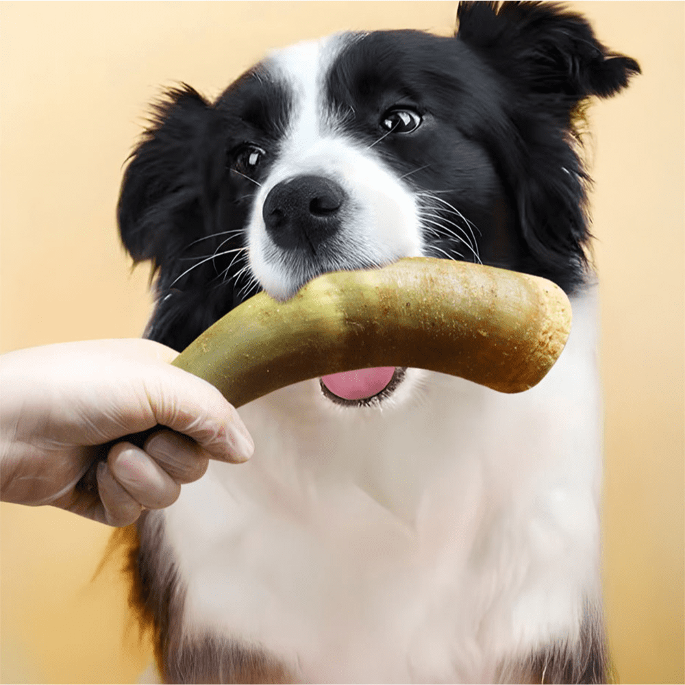Ox Horn, Natural Ingredients, Natural Dog Treats, Healthy, Easily Digestible, Dog Chews Long Lasting, And High Protein, Low Fat, Perfect Training Reward Snack For Small, Medium and Large Dogs