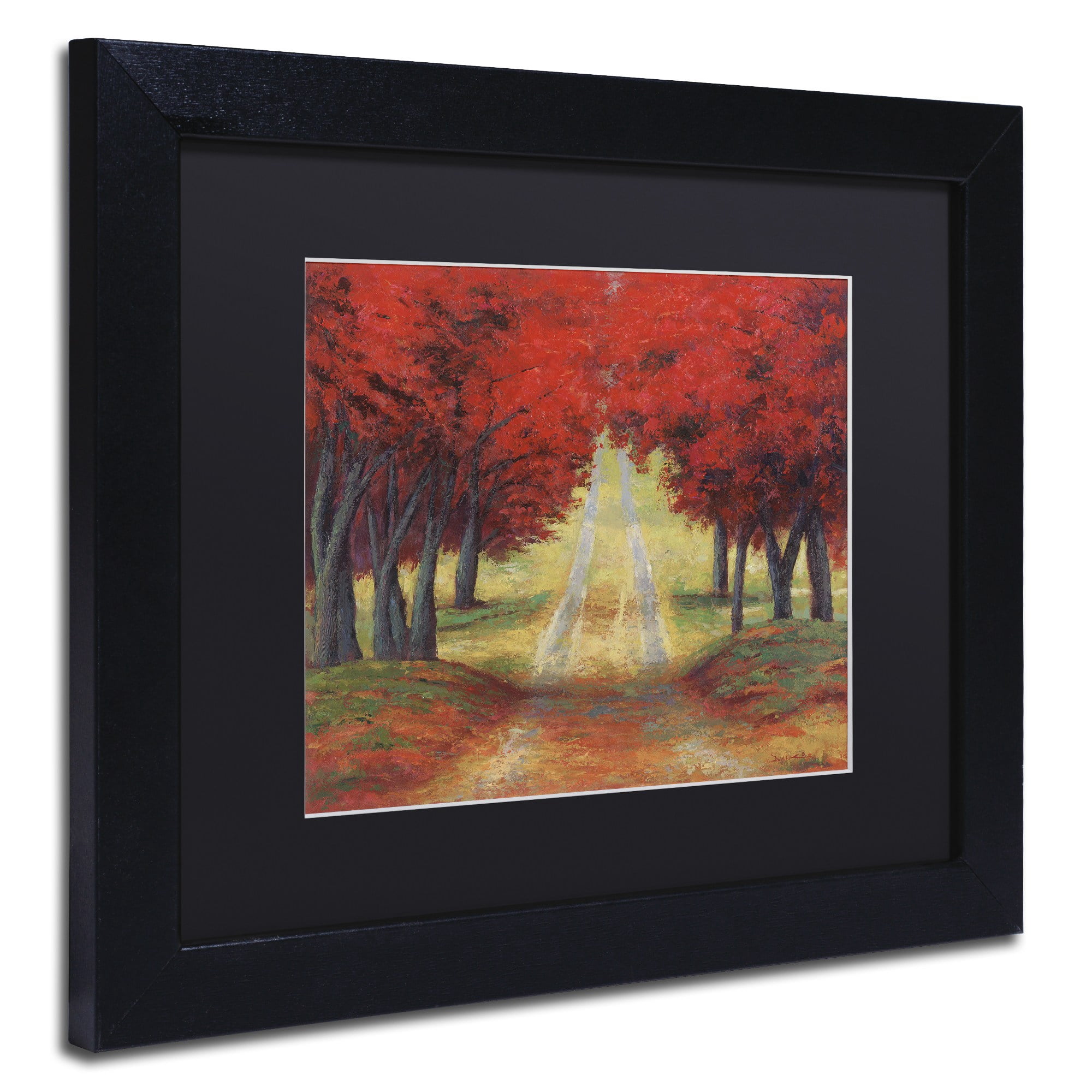 Trademark Fine Art 'Autumn Pathway' Canvas Art by Daniel Moises, White Matte, Wood Frame
