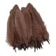 thumbnail image 1 of 2x 50 piezas hermosas plumas de naturales adorno álbumes de recortes de 5 a 8 , bos, fiestas, decoración, artesaní Gloria Ribetes de encaje de plumas grandes, 1 of 8