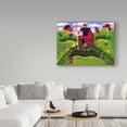 thumbnail image 3 of Trademark Fine Art 'Old Red School House Kite Day' Canvas Art by Cheryl Bartley, 3 of 3