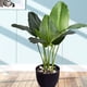 thumbnail image 4 of Moyic Decoración vegetal elegante y verde de bajo mantenimiento para una mayor durabilidad en interiores o exteriores Decoración, 4 of 6