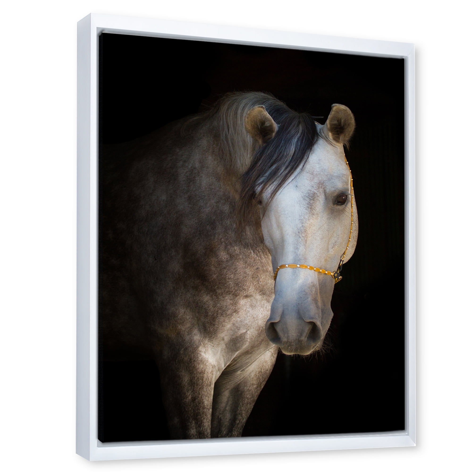 Designart 'Close Up Portrait Of A White Horse' Farmhouse Framed Canvas Wall Art Print