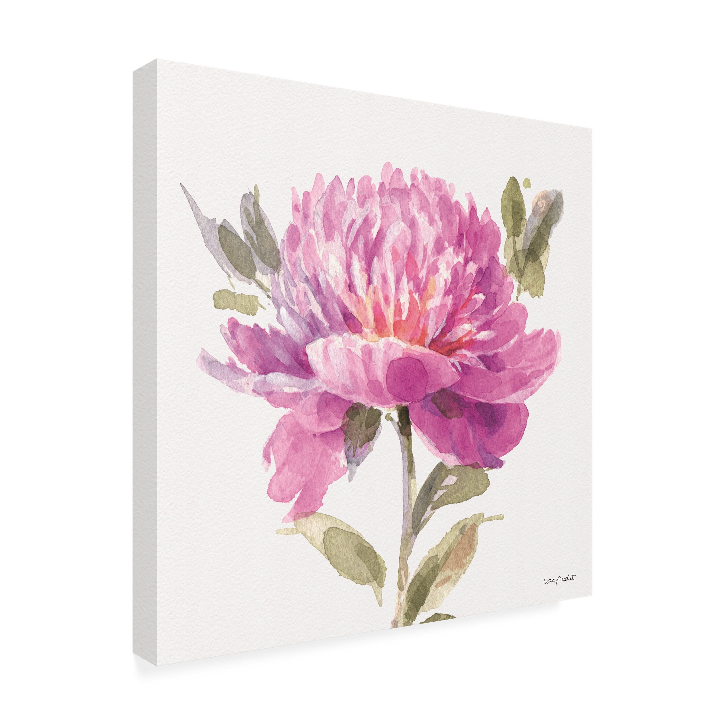 Lisa Audit 'Obviously Pink 05' Canvas Art