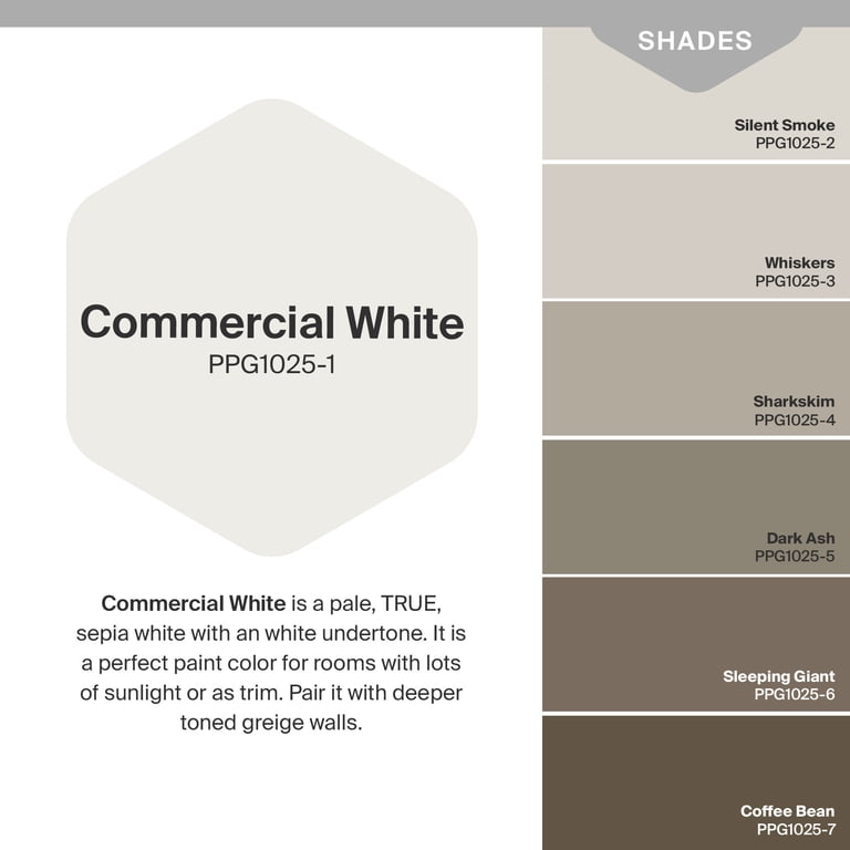 Glidden Fundamentals Commercial White Flat Exterior Paint & Primer photo 3