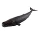 thumbnail image 1 of Figuras de ballenas realistas Ballena Realista Modelo Animal Educación Figura Suave Juguete Para Niños Ballena De Esperma Ballena de esperma Fanmusic Figuras de ballenas realistas, 1 of 6