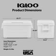 Igloo 48 QT Laguna Hard Sided Ice Chest Cooler - White