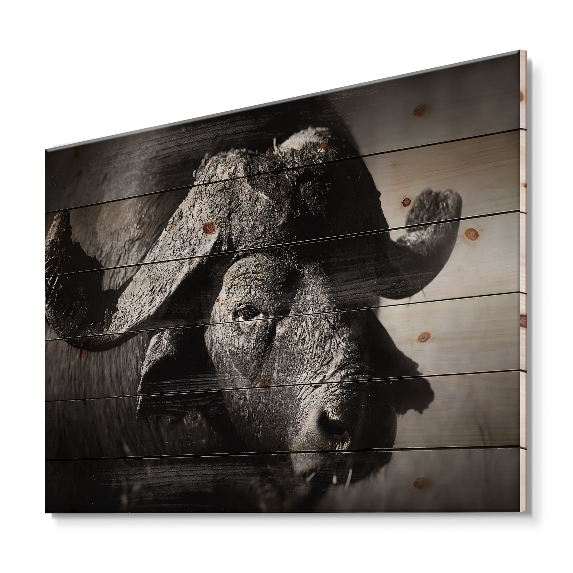 Designart 'Black and White Portrait Of Buffalo II' Farmhouse Print on Natural Pine Wood