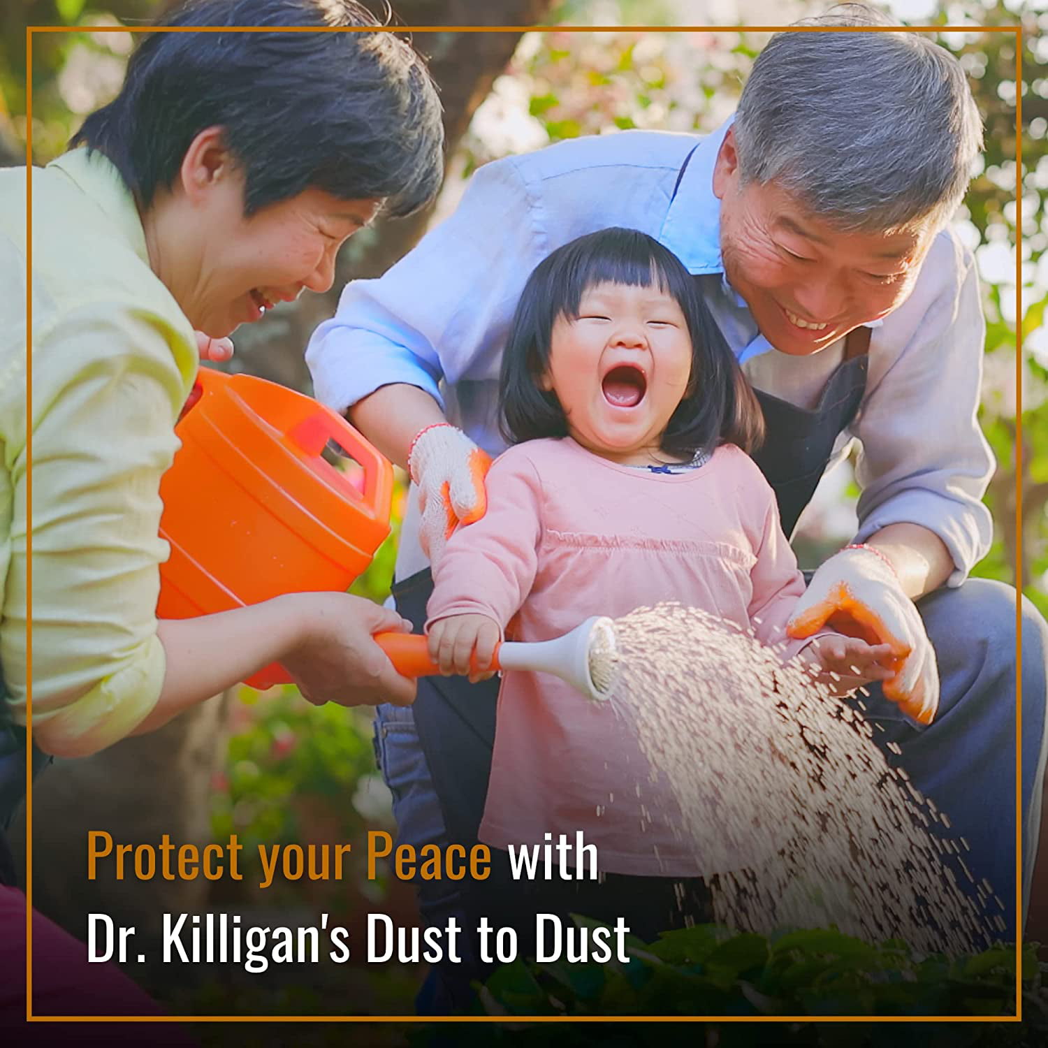 Dr. Killigan's Dust to Dust Non-Toxic Insect Powder - Diatomaceous Earth  Alternative for Insect Control - Bug Killer and Wasp Killer for Indoor &  Outdoor Use 