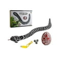 thumbnail image 1 of Electric Cockroach Infrared Remote Control Simulation Induction Rattlesnake Spider Animal Toy Halloween Party Decoration, 1 of 5
