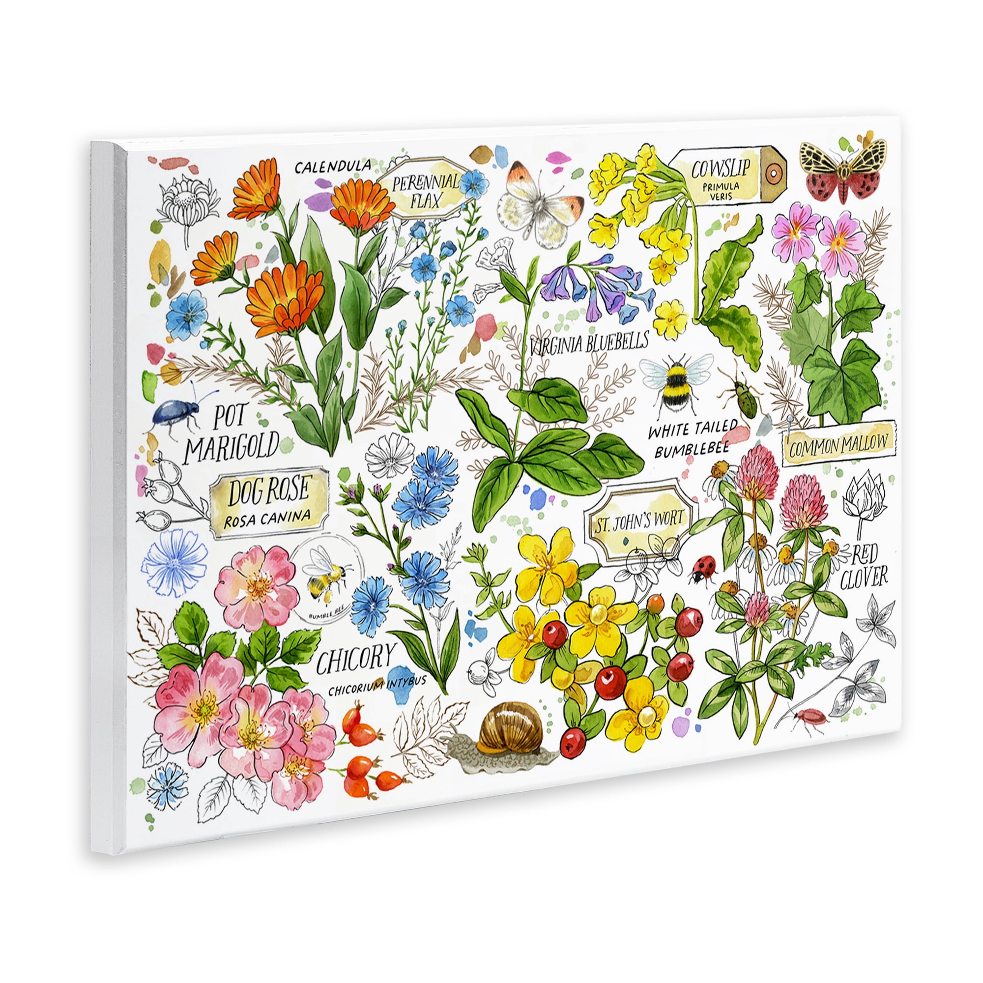 Stupell Industries Various Herbs Benefits Botanical & Floral Painting Unframed Art Print Wall Art, 15 x 10