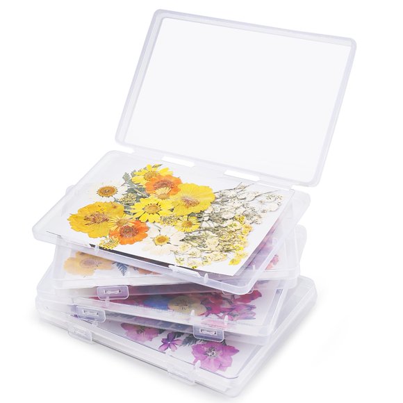 Kit de conservación de flores Aboofx Set de almacenamiento de flores secas