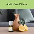 thumbnail image 5 of Good Essential Oils Good Essential Sweet Scents Fragrance Oil Set 10 Pack Bulk Holiday Gift Oils for Aromatherapy Diffusers, Candle, 5 of 6